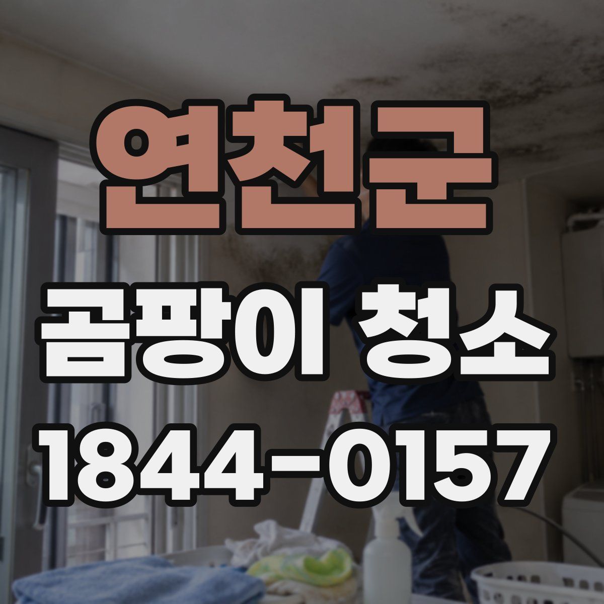 연천군 곰팡이 청소