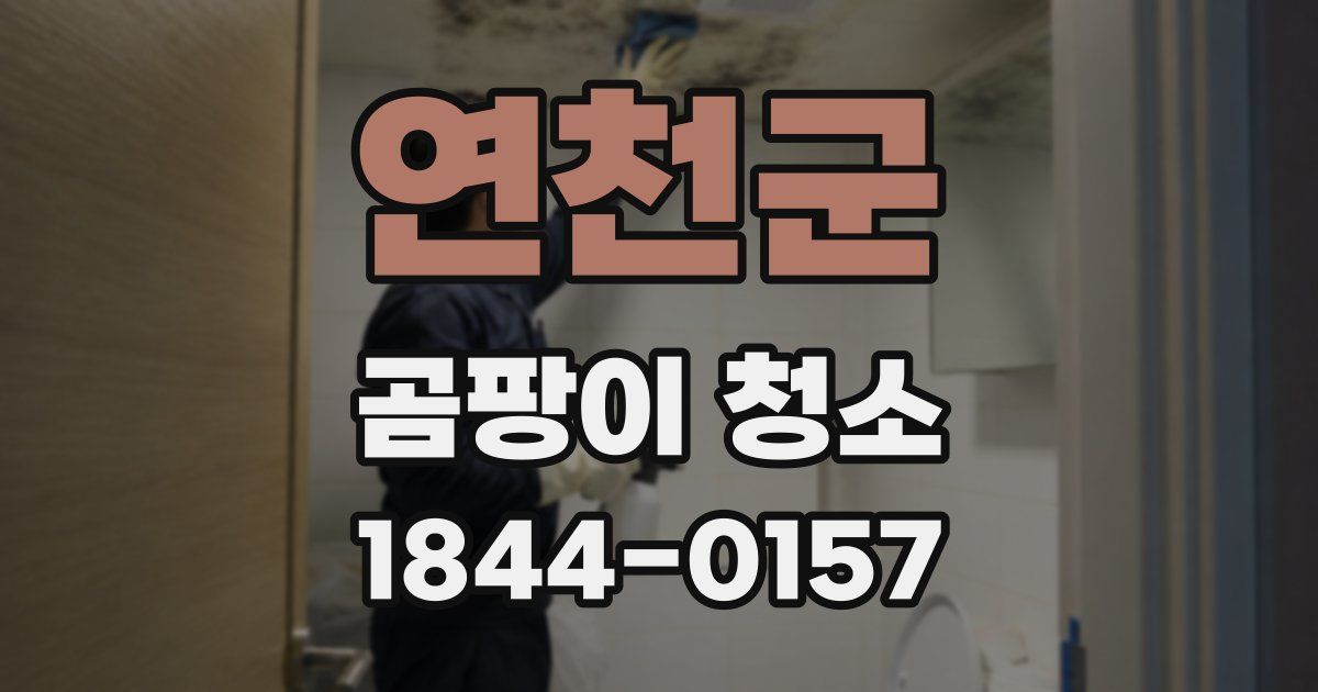연천군 곰팡이 청소