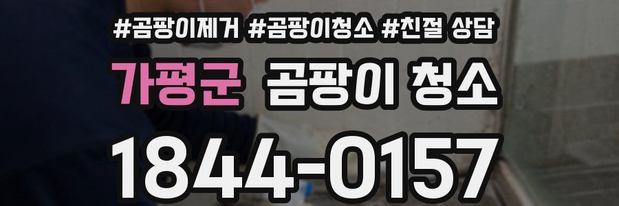 가평군 곰팡이 청소