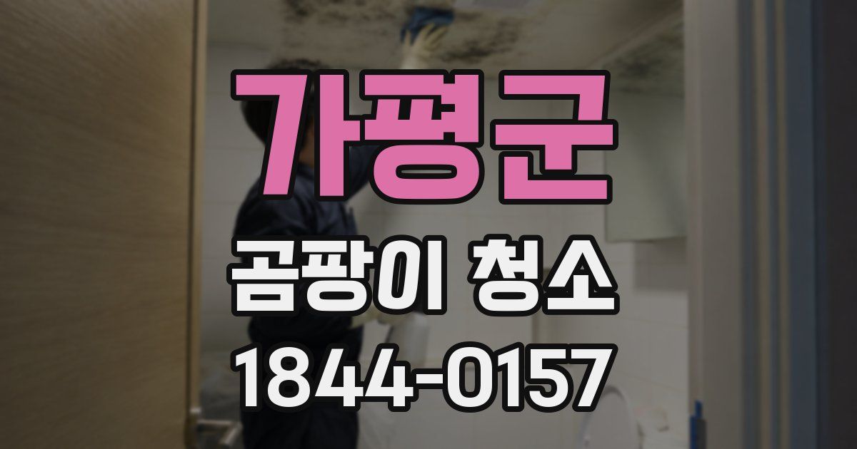 가평군 곰팡이 청소