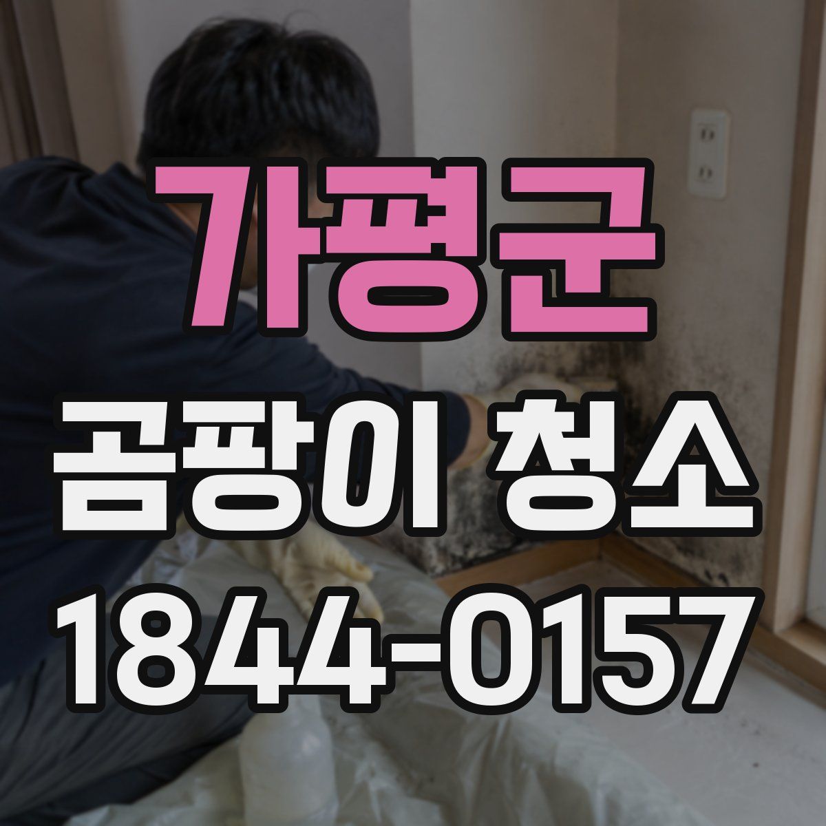 가평군 곰팡이 청소