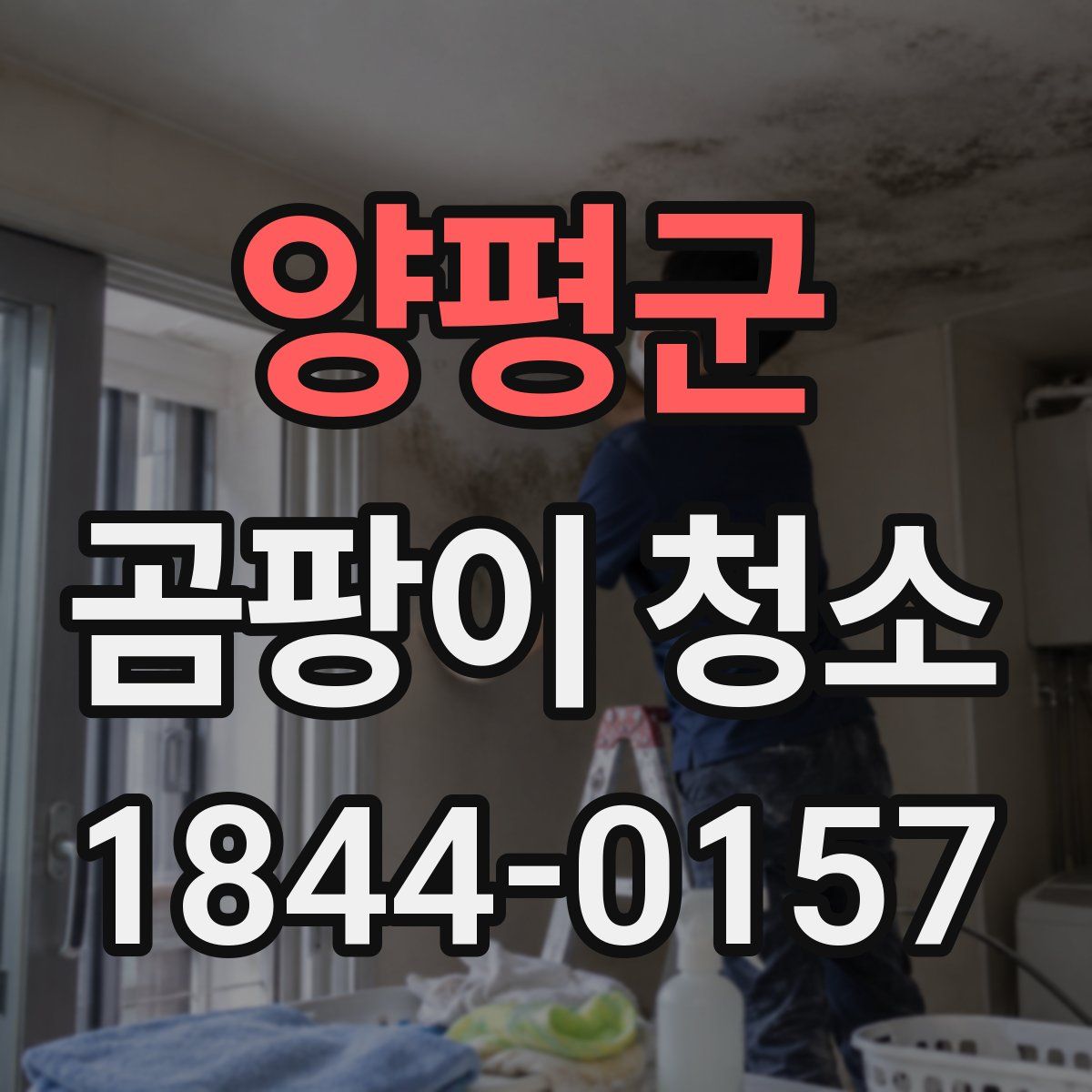 양평군 곰팡이 청소