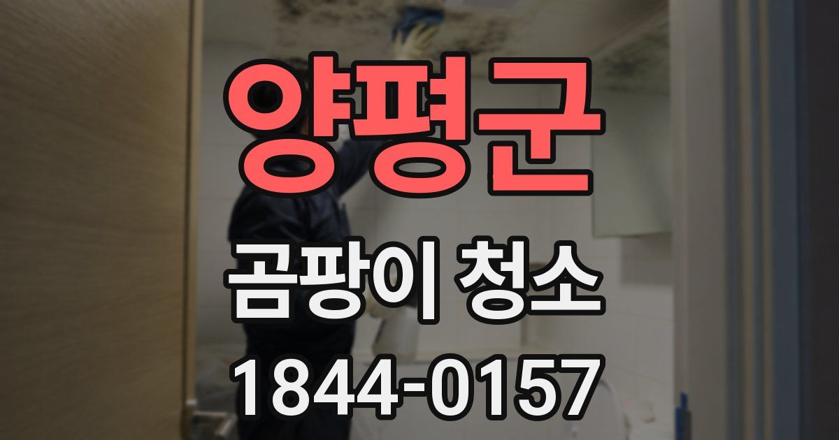 양평군 곰팡이 청소