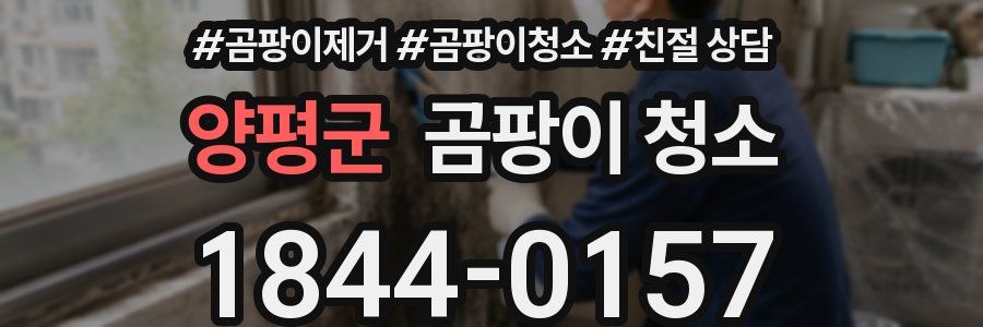 양평군 곰팡이 청소