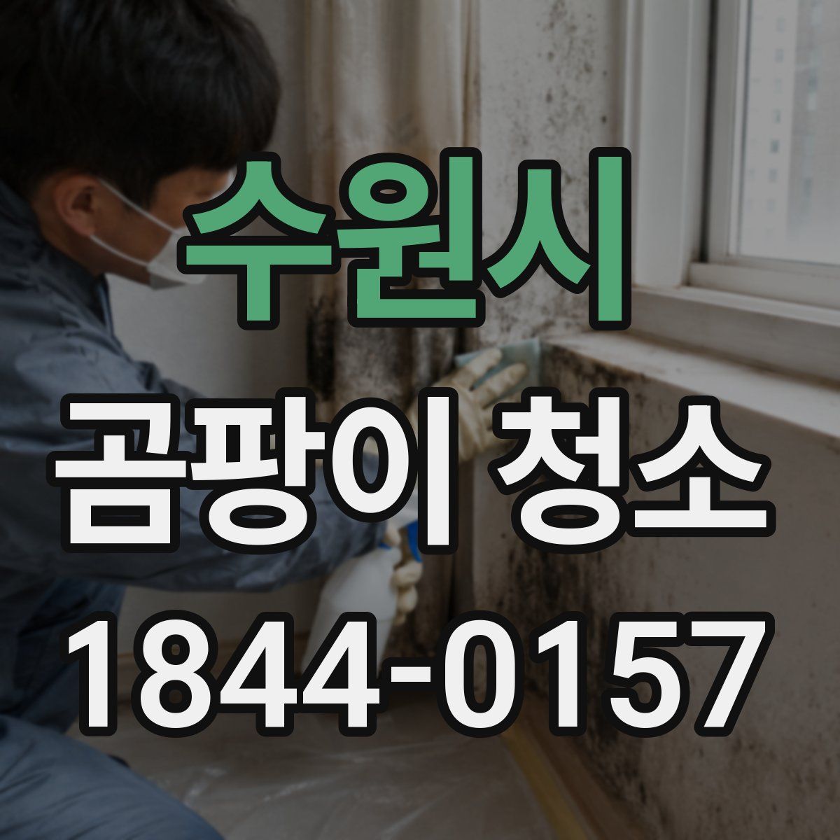 수원시 곰팡이 청소
