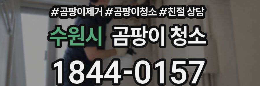수원시 곰팡이 청소