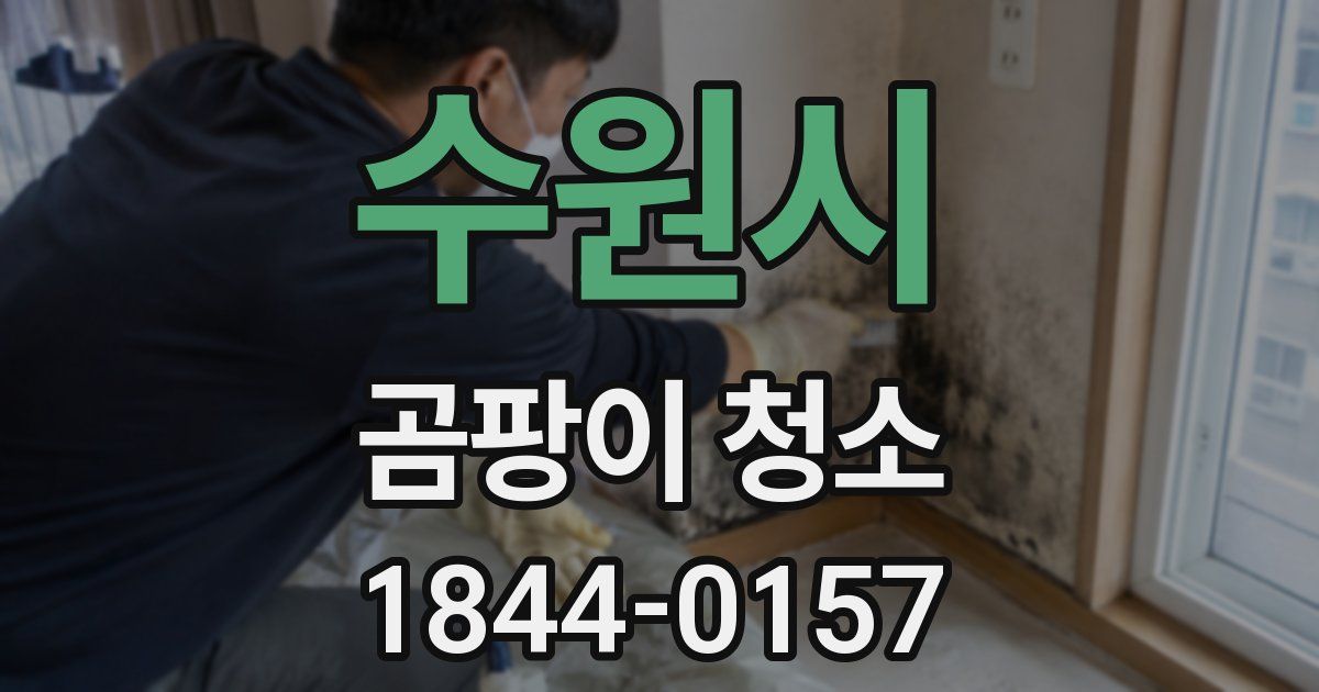 수원시 곰팡이 청소