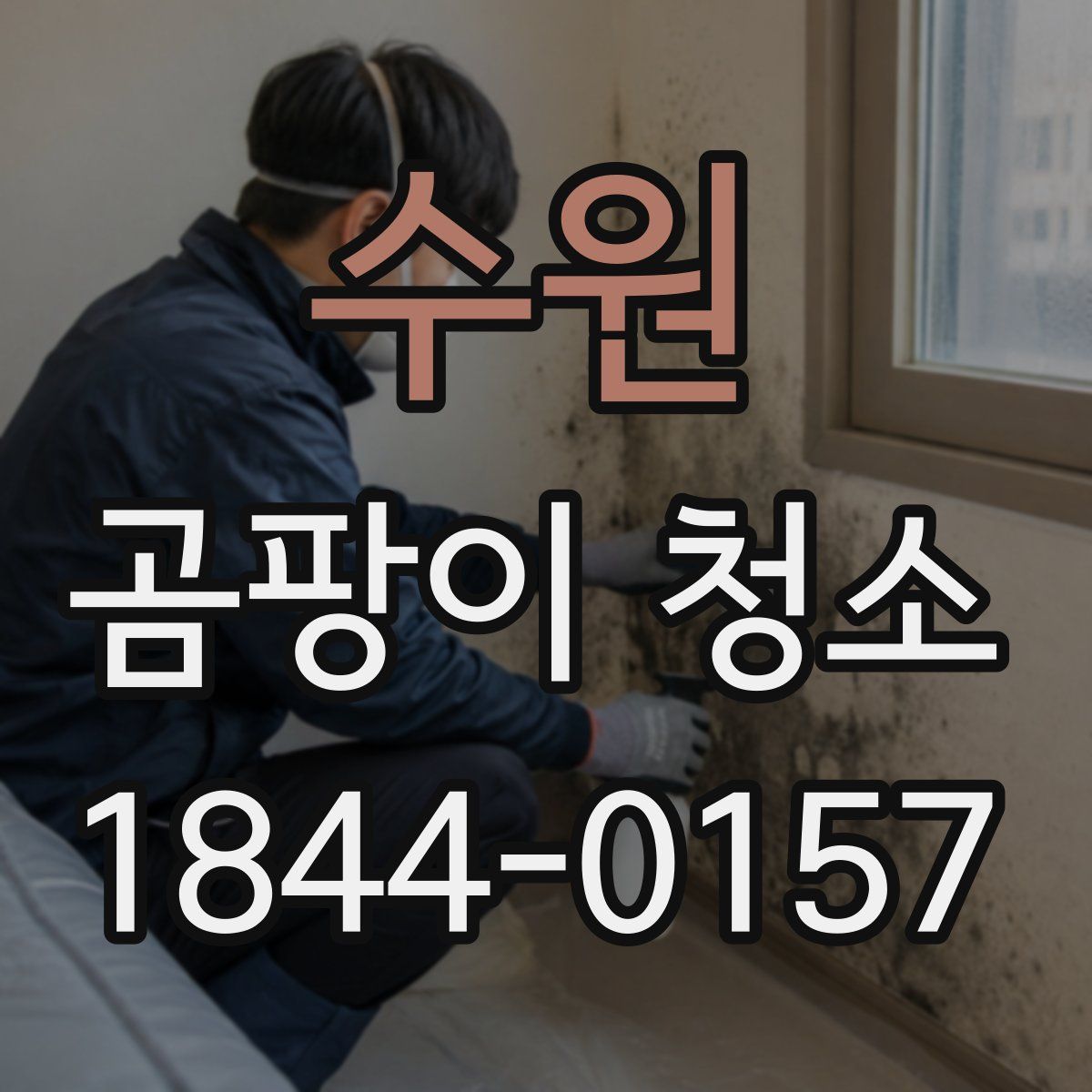 수원 곰팡이 청소