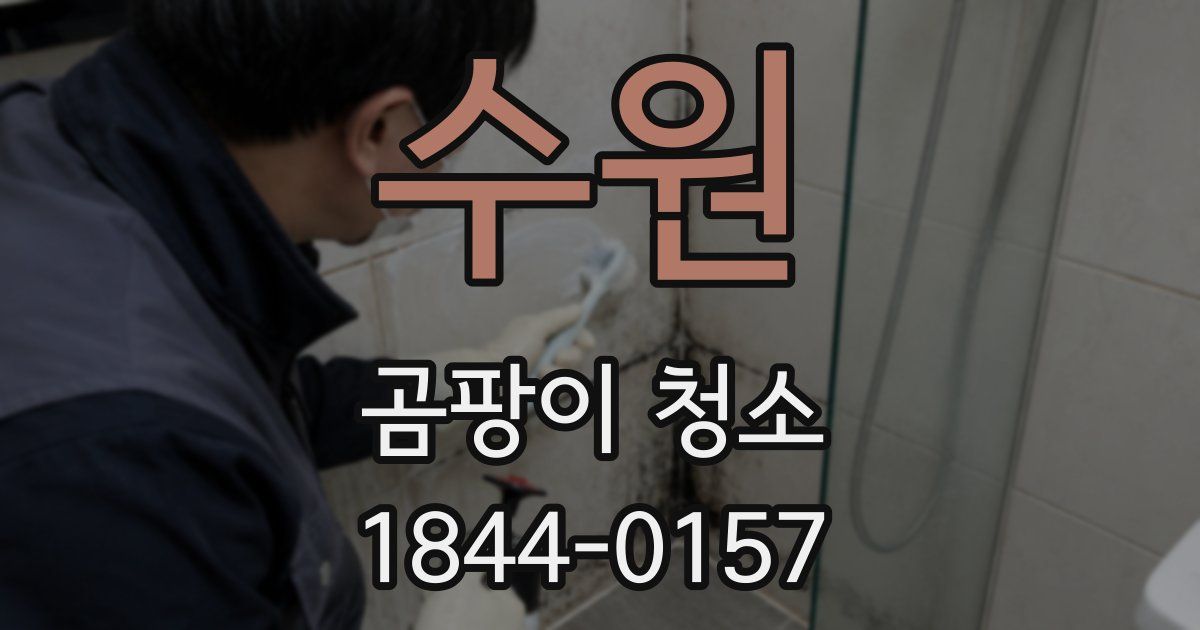 수원 곰팡이 청소