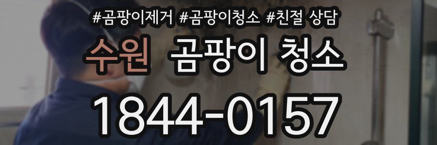수원 곰팡이 청소