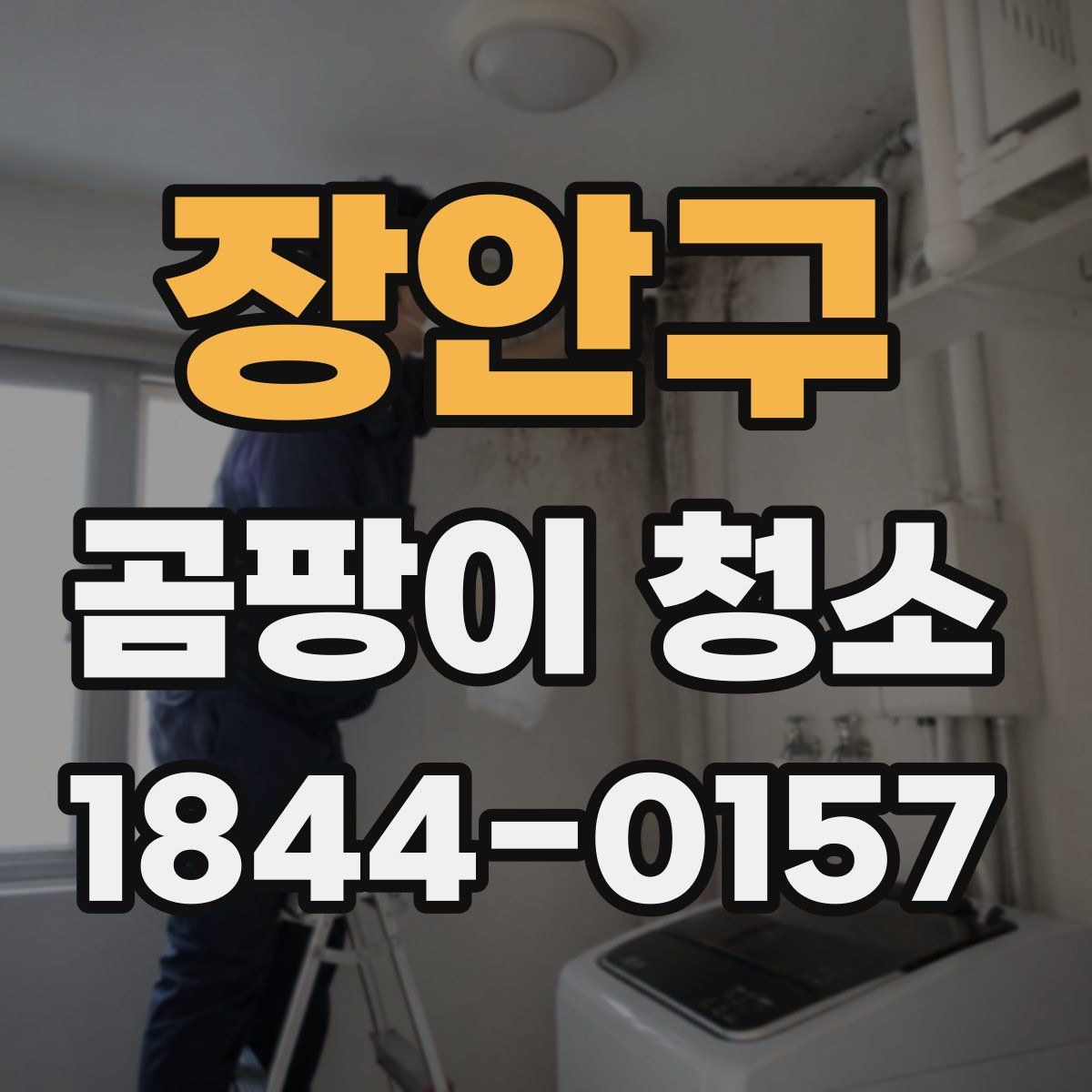 장안구 곰팡이 청소