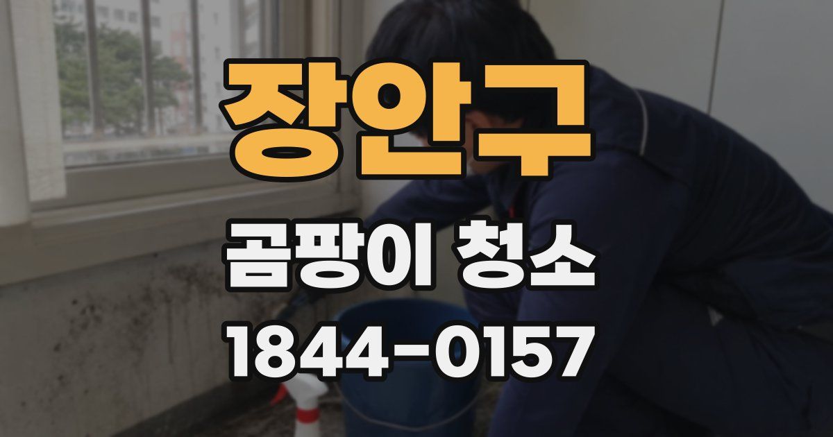 장안구 곰팡이 청소