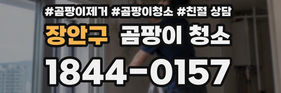 장안구 곰팡이 청소