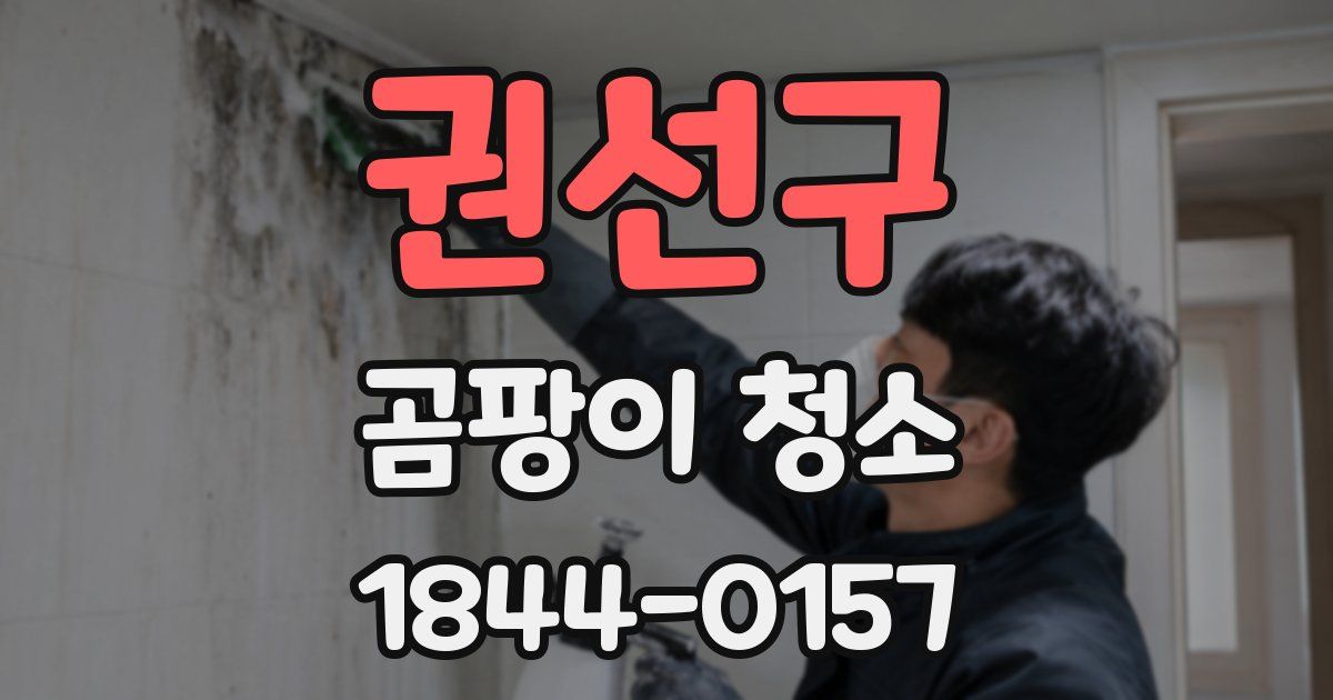 권선구 곰팡이 청소