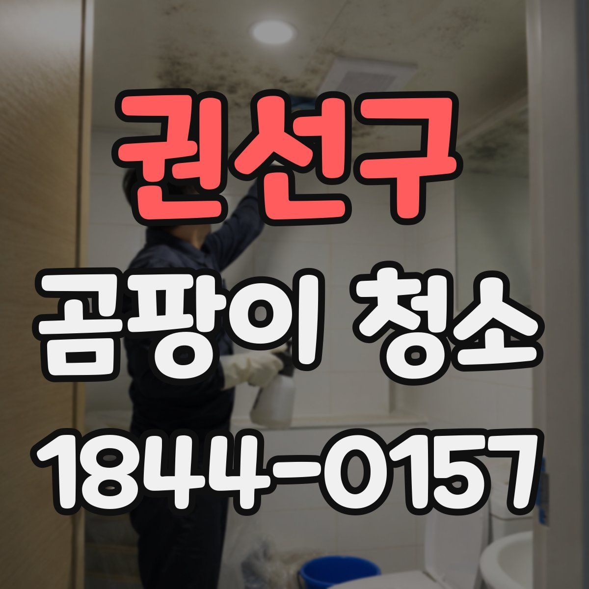 권선구 곰팡이 청소