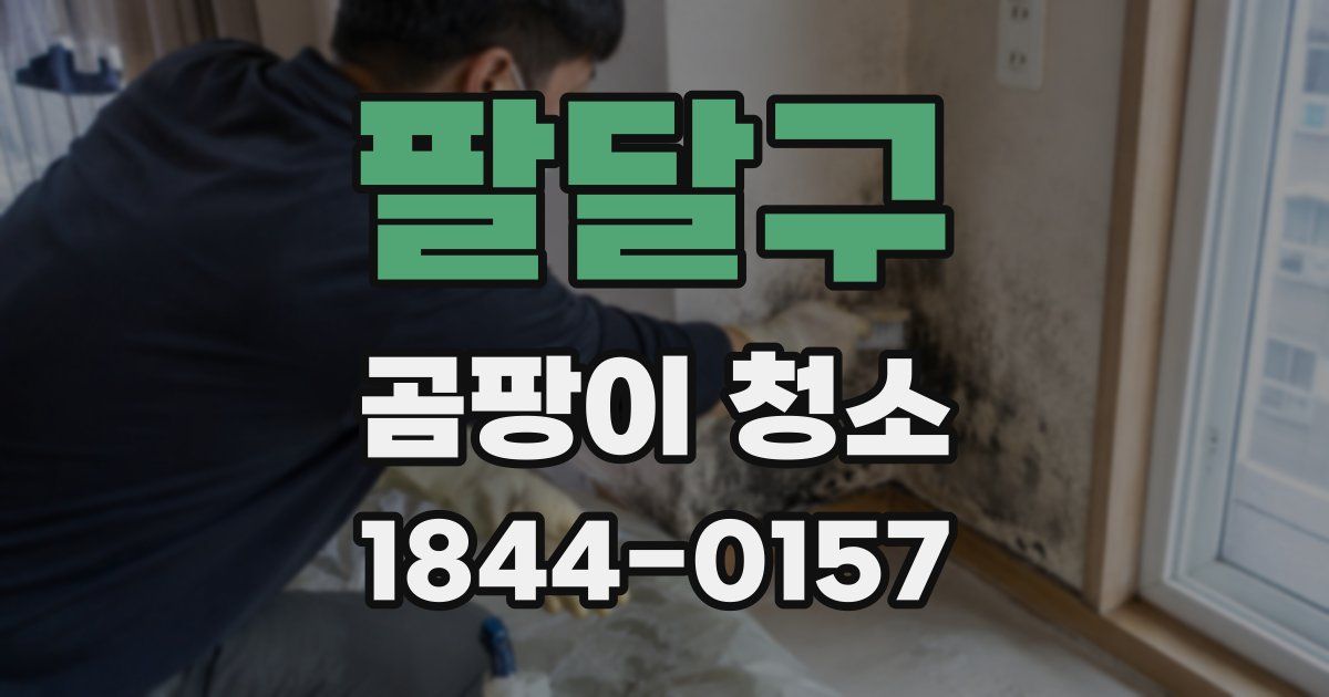 팔달구 곰팡이 청소