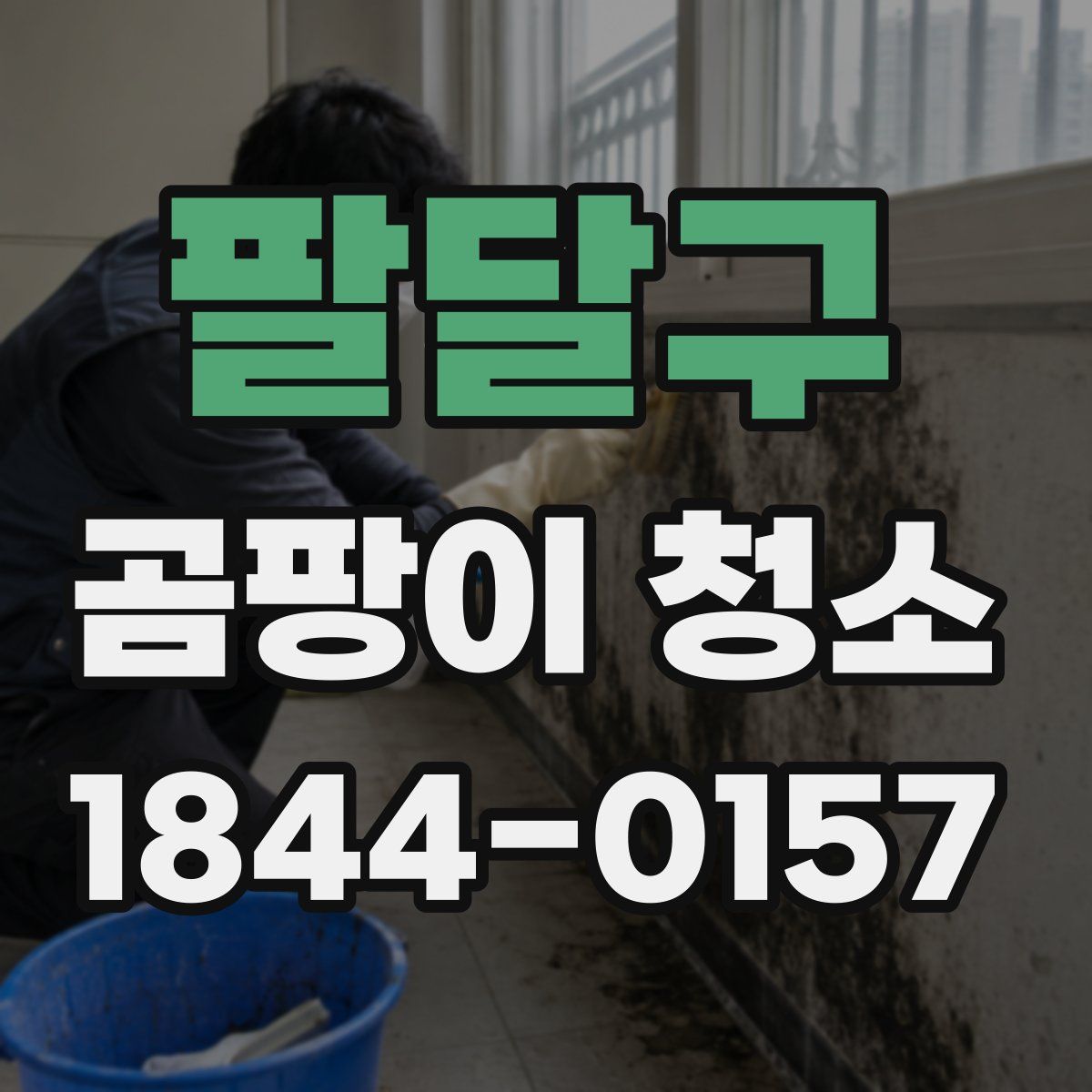팔달구 곰팡이 청소