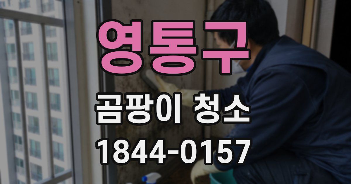 영통구 곰팡이 청소