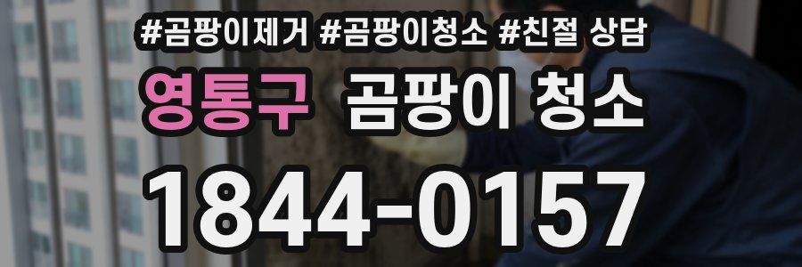 영통구 곰팡이 청소