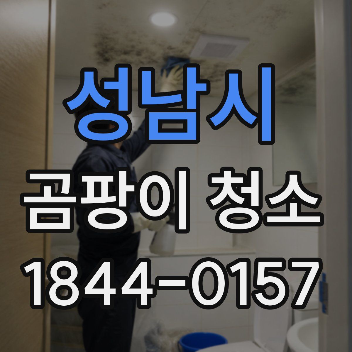 성남시 곰팡이 청소