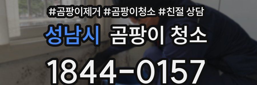 성남시 곰팡이 청소