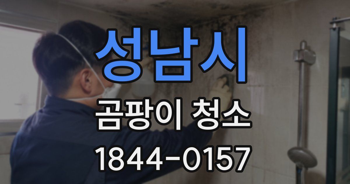 성남시 곰팡이 청소