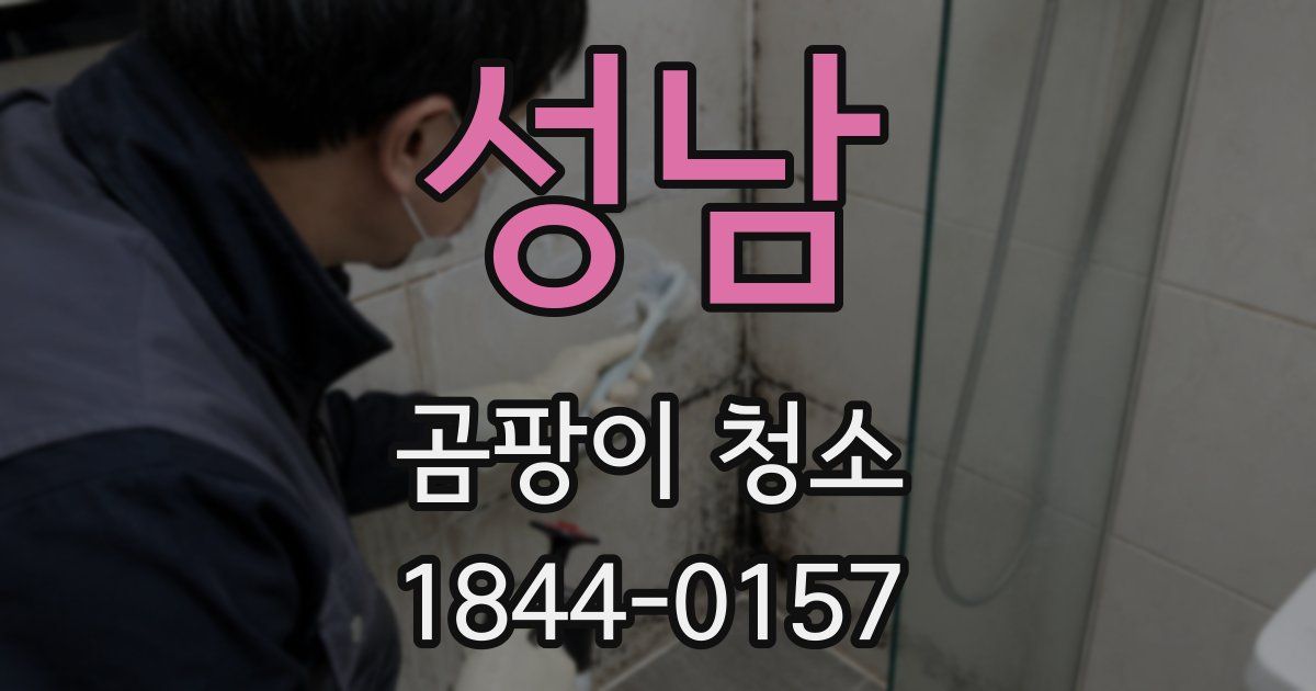 성남 곰팡이 청소