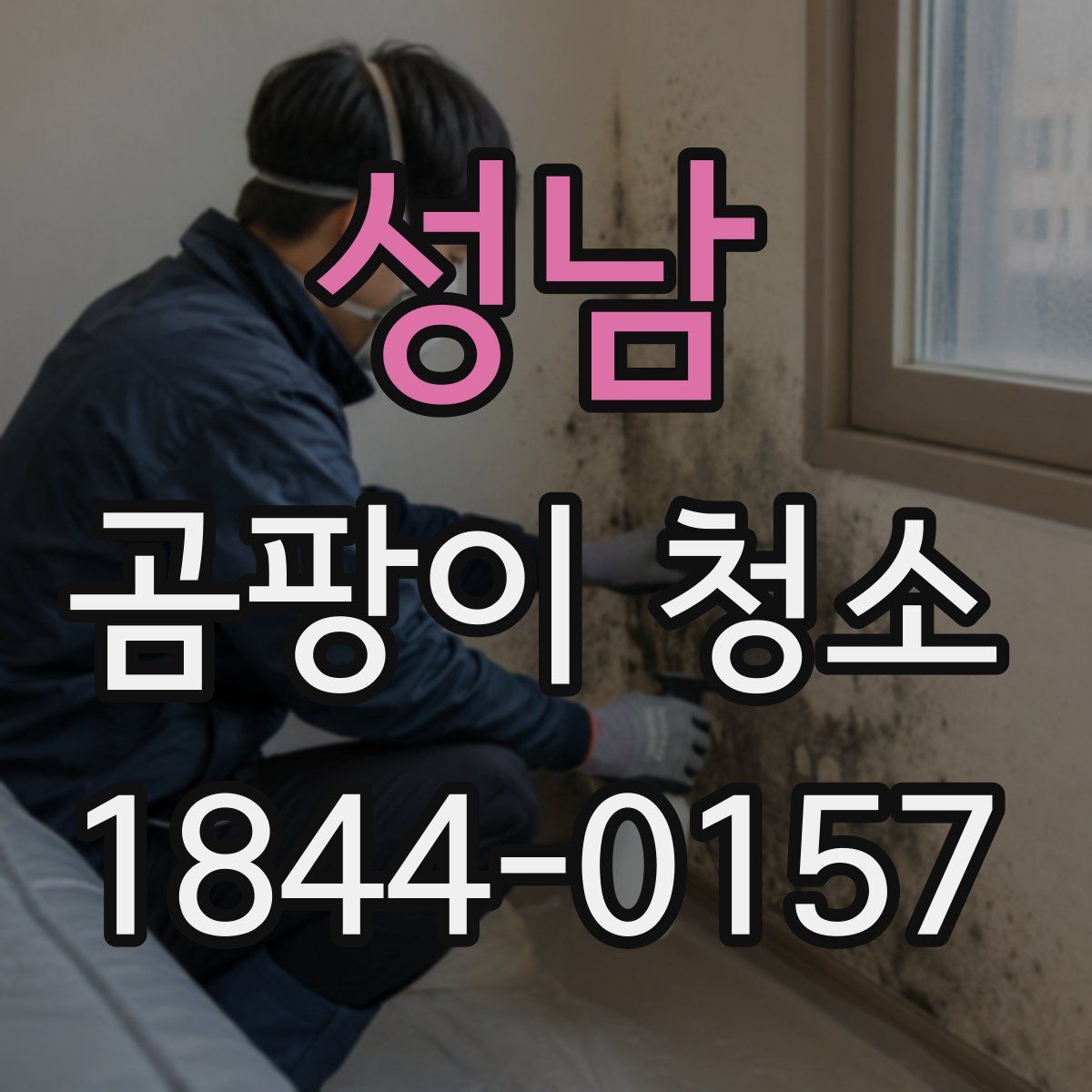 성남 곰팡이 청소