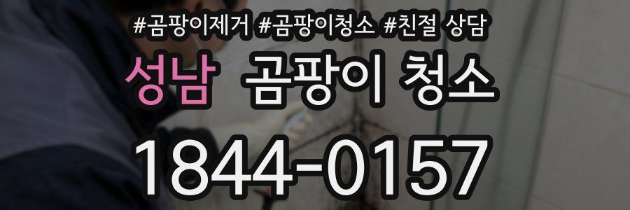 성남 곰팡이 청소