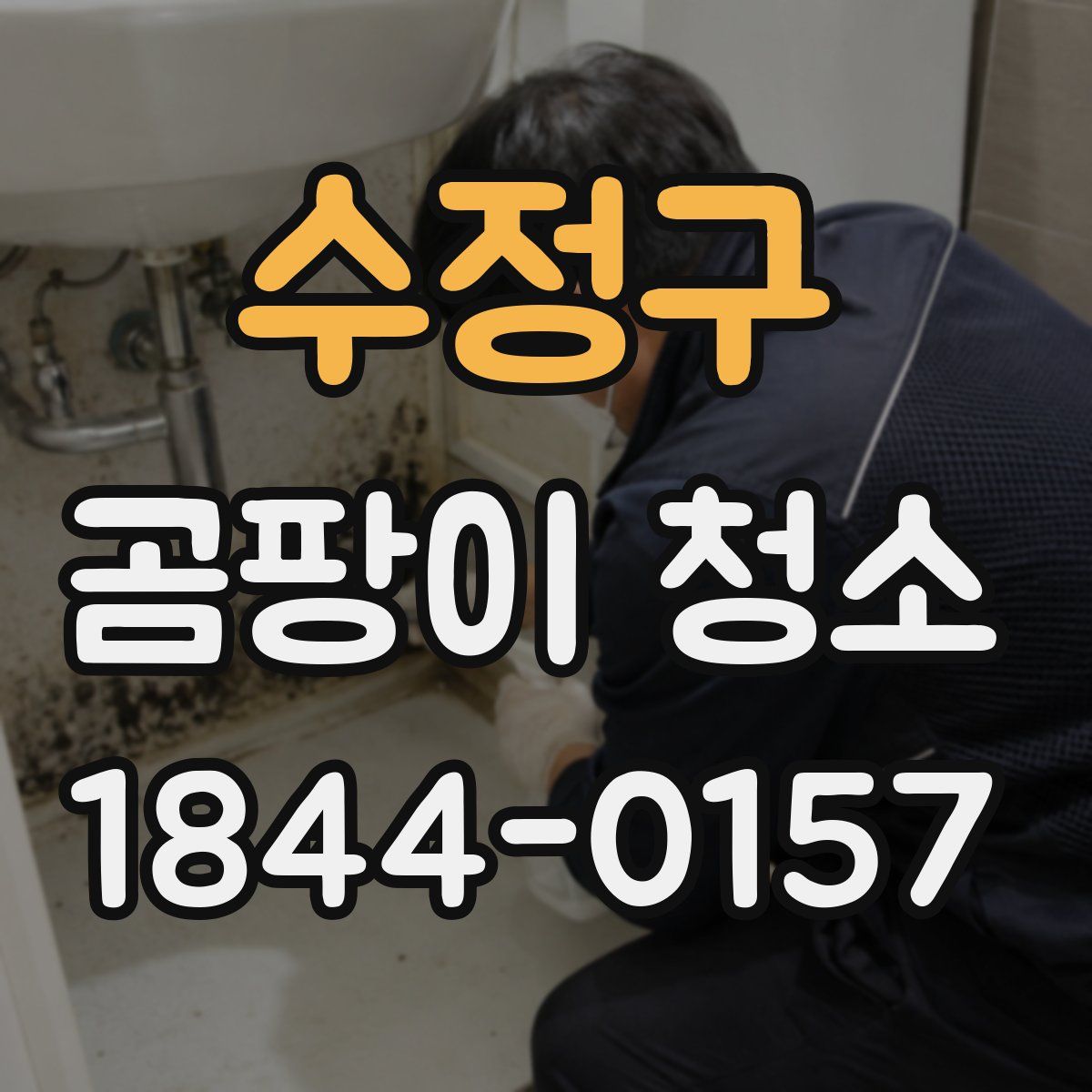 수정구 곰팡이 청소