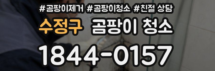 수정구 곰팡이 청소