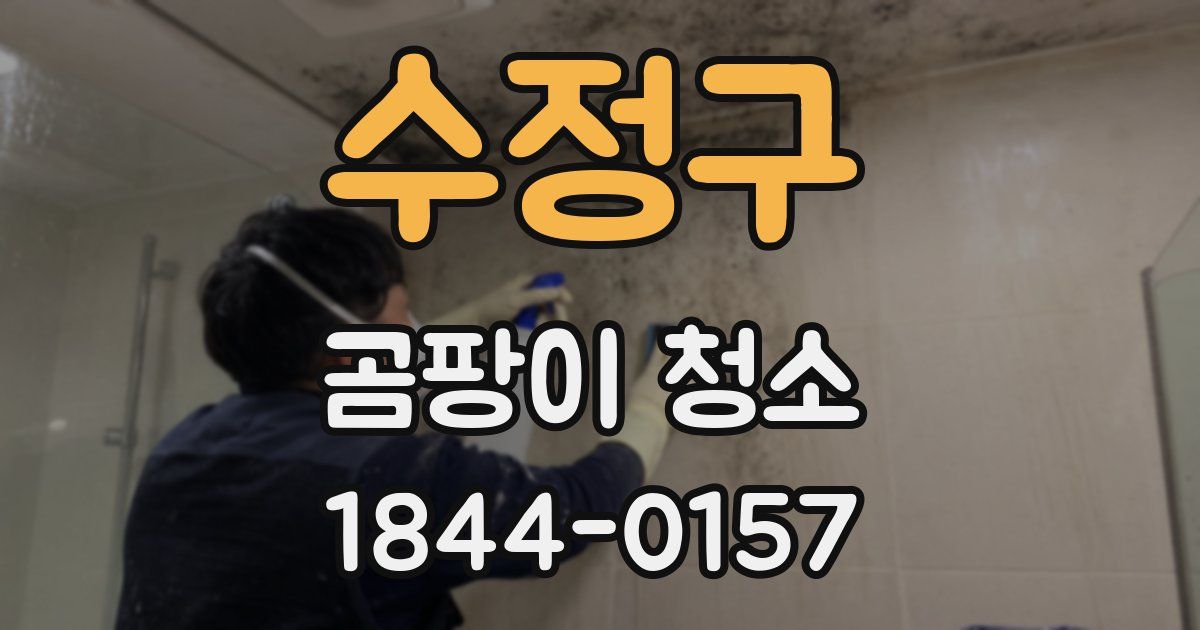 수정구 곰팡이 청소