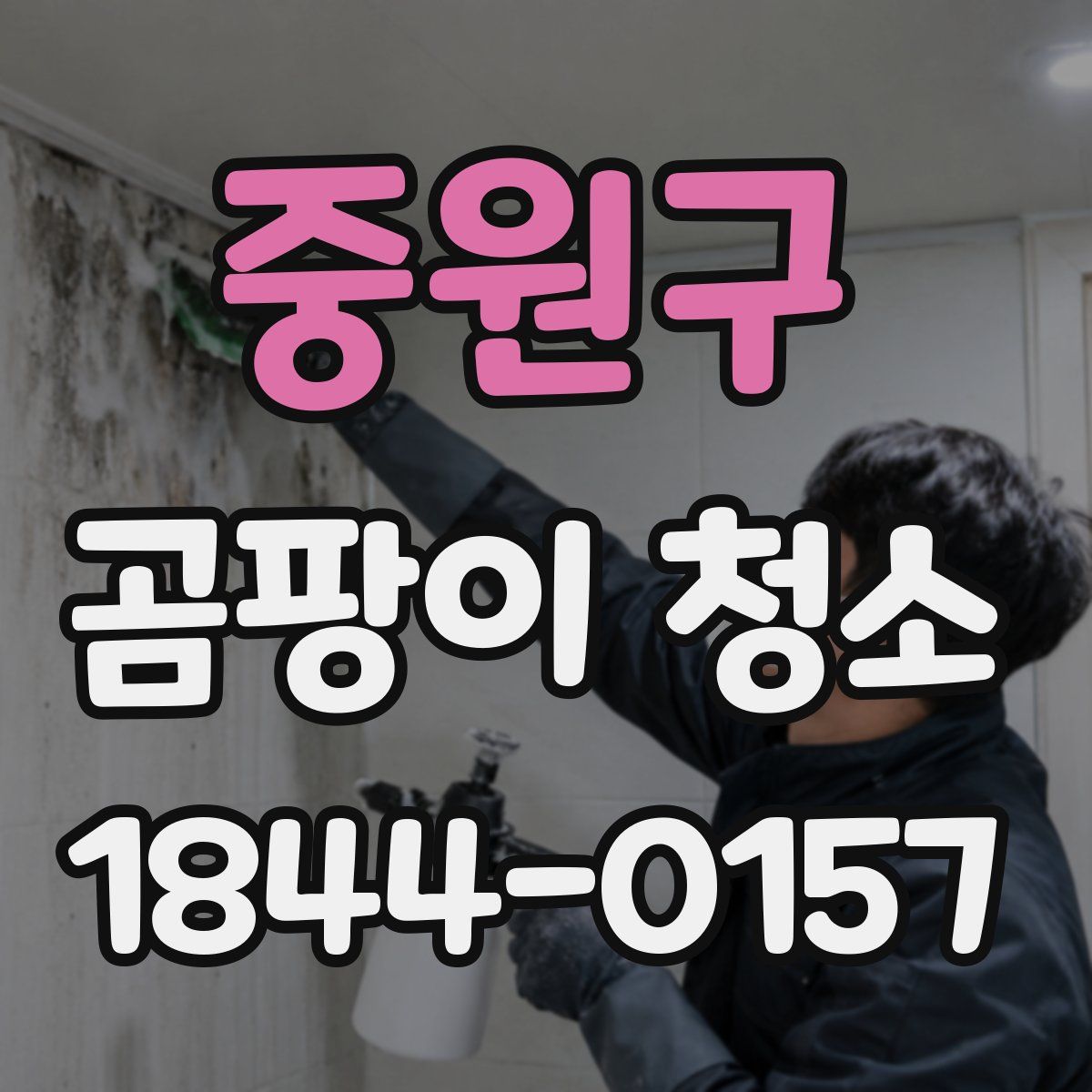 중원구 곰팡이 청소
