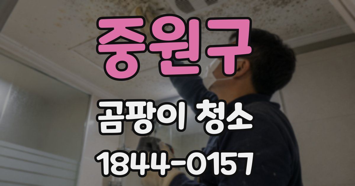 중원구 곰팡이 청소
