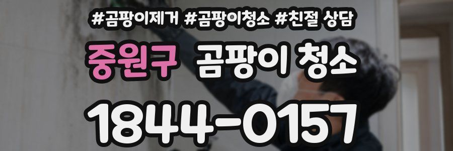 중원구 곰팡이 청소