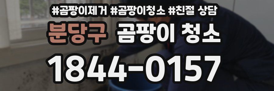 분당구 곰팡이 청소