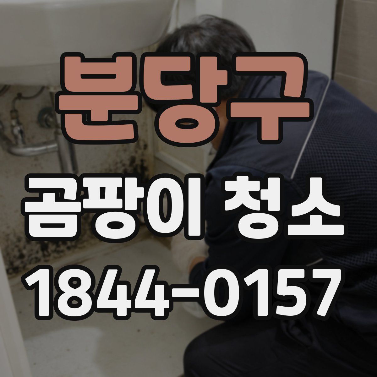 분당구 곰팡이 청소