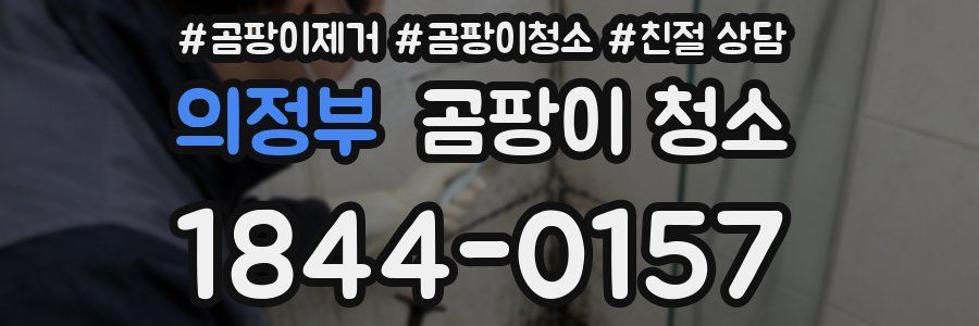 의정부 곰팡이 청소