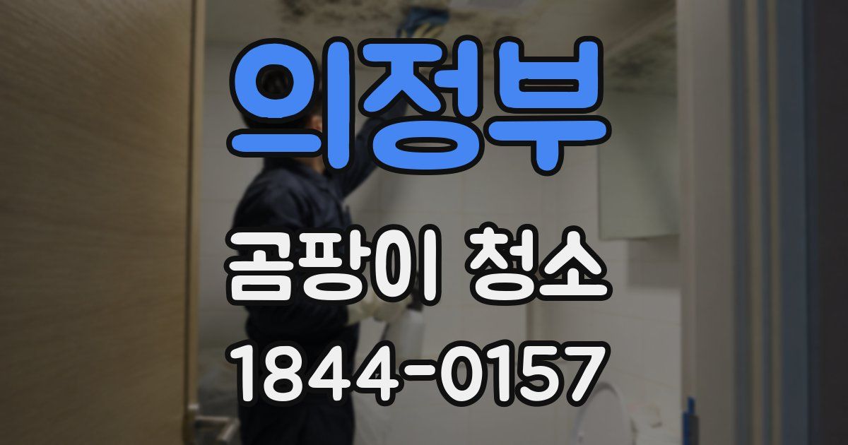 의정부 곰팡이 청소