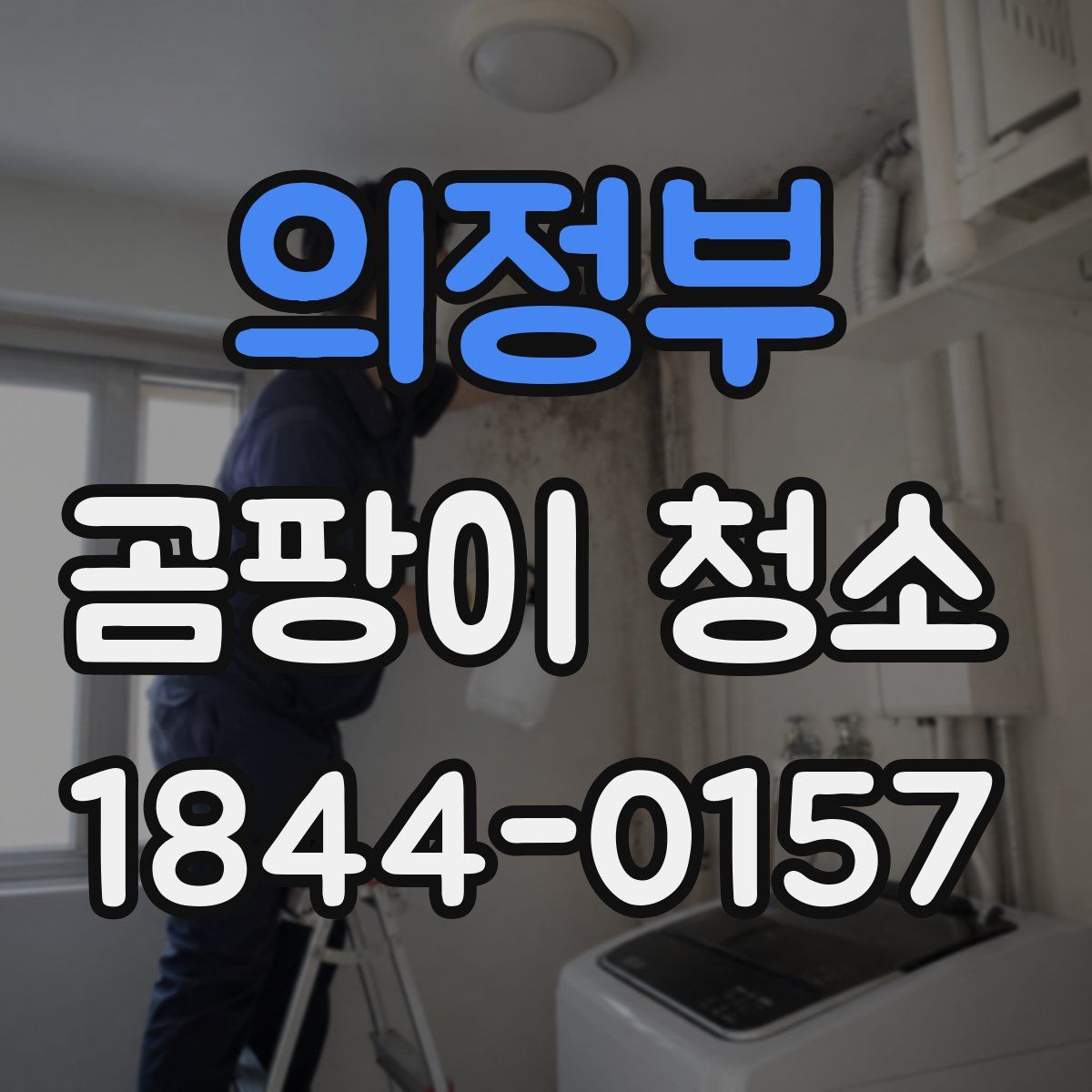 의정부 곰팡이 청소