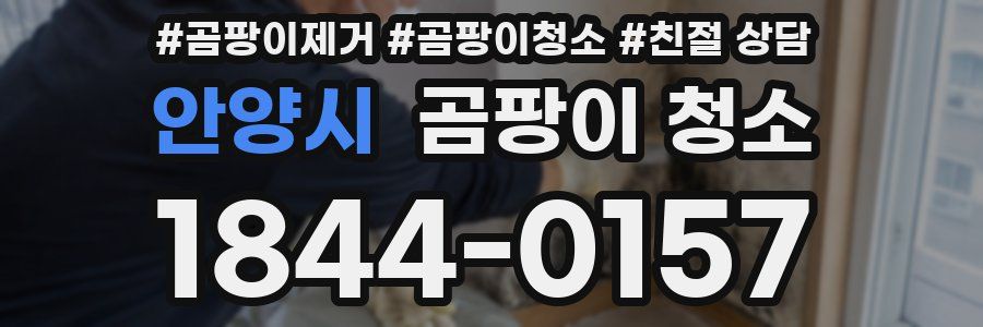 안양시 곰팡이 청소