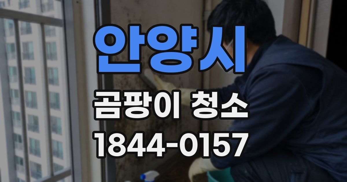 안양시 곰팡이 청소