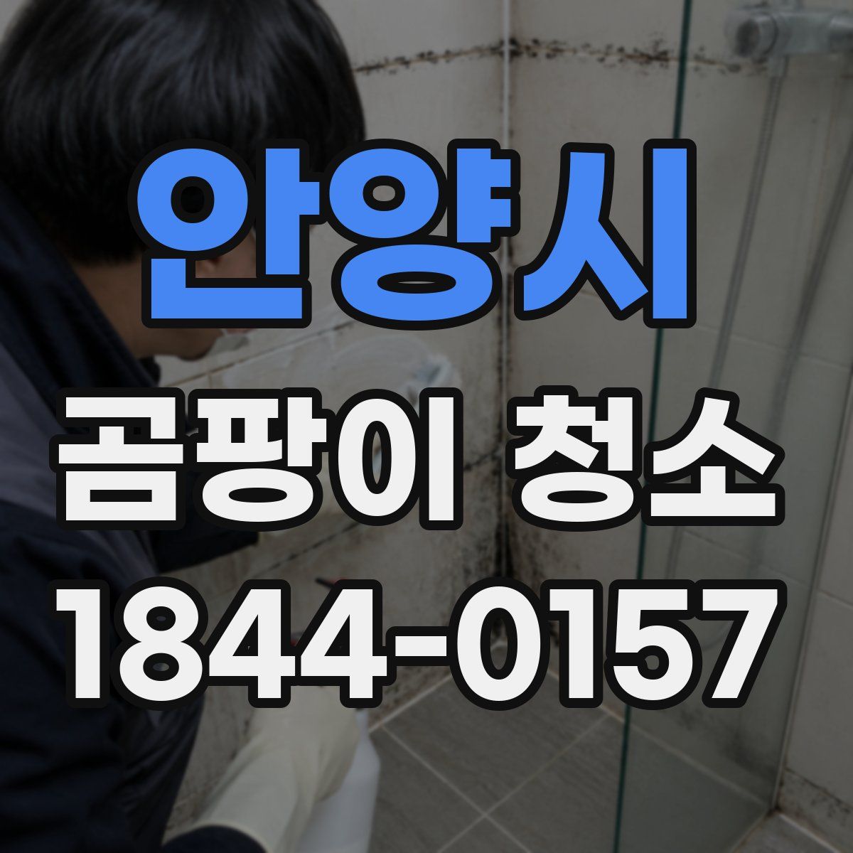 안양시 곰팡이 청소