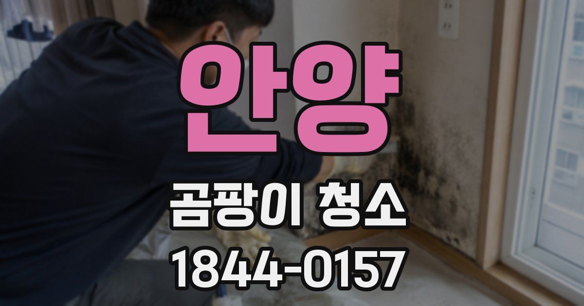 안양 곰팡이 청소