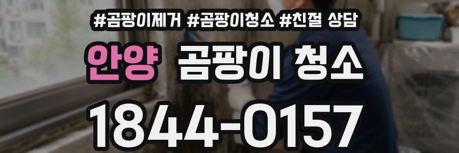 안양 곰팡이 청소
