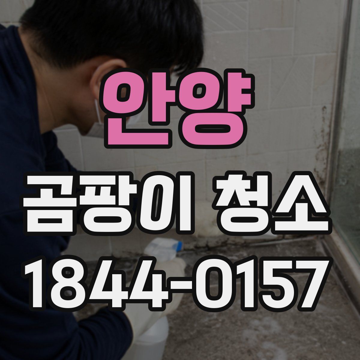안양 곰팡이 청소
