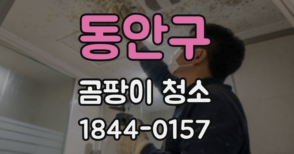 동안구 곰팡이 청소