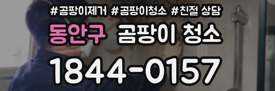 동안구 곰팡이 청소