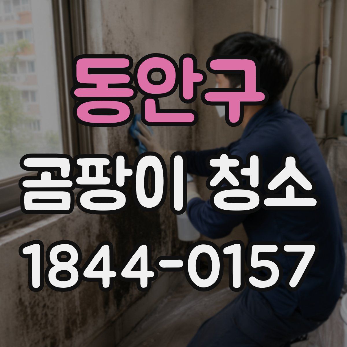 동안구 곰팡이 청소
