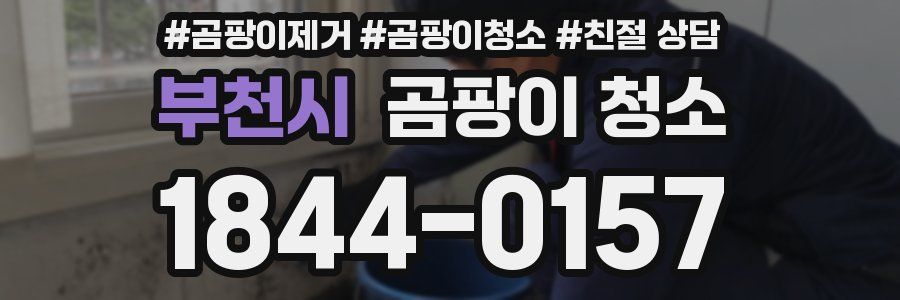 부천시 곰팡이 청소